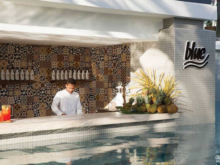 Swim-Up Bar at an All Inclusive Resort in Punta Cana