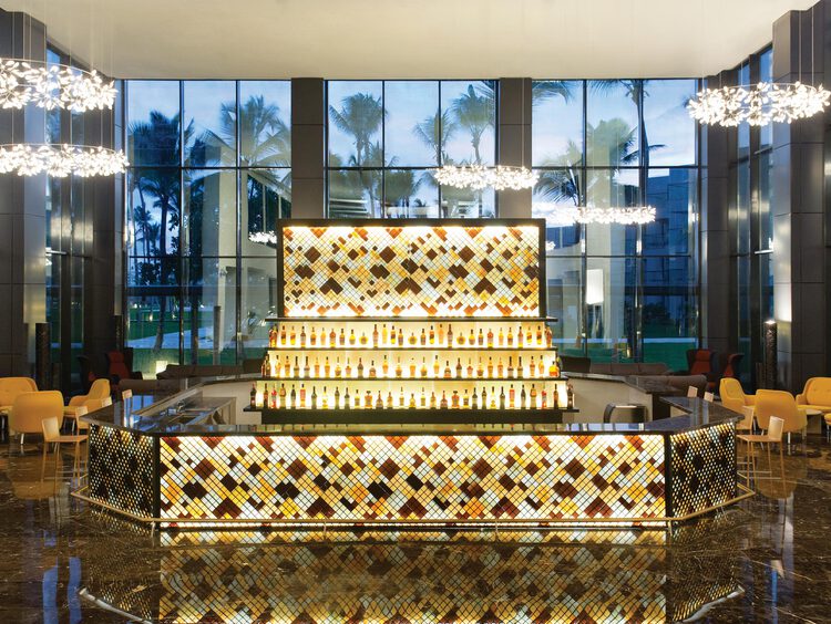 Martini Lobby Bar at Excellence El Carmen Resort